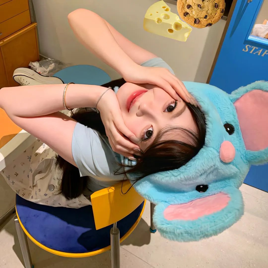 张星辰